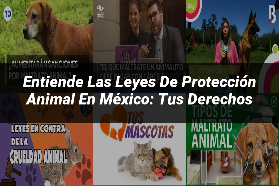 "Entiende las Leyes de Protección Animal en México: Tus Derechos"