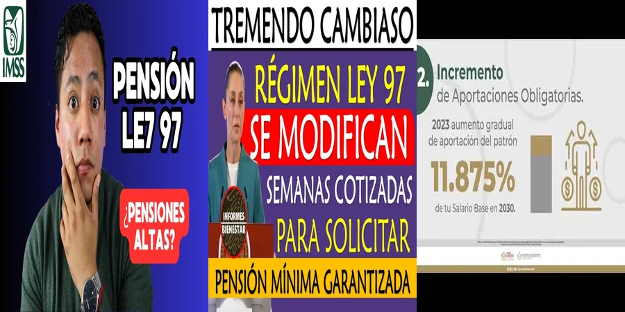 "Entiende las Semanas Cotizadas del Seguro Social en México"