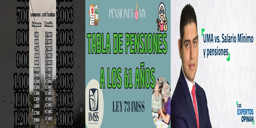 "Entiende las UMAs y su Impacto en tu Pensión del IMSS"