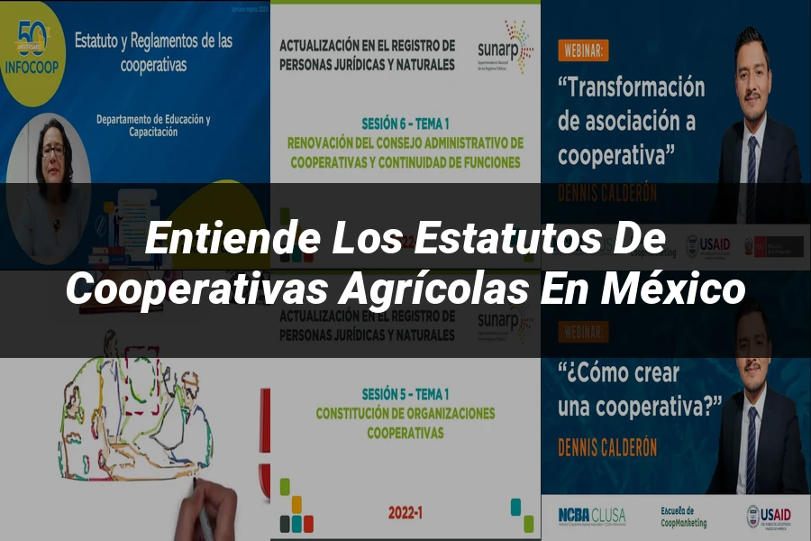 "Entiende los Estatutos de Cooperativas Agrícolas en México"