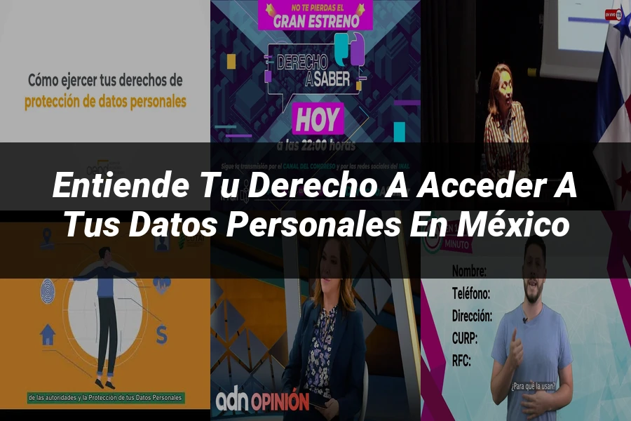 "Entiende tu Derecho a Acceder a tus Datos Personales en México"