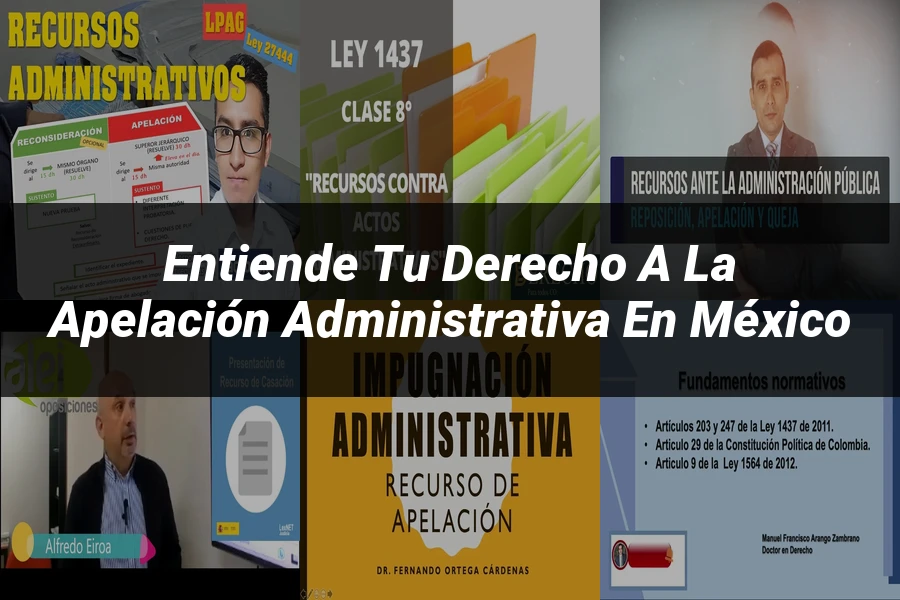 "Entiende tu Derecho a la Apelación Administrativa en México"