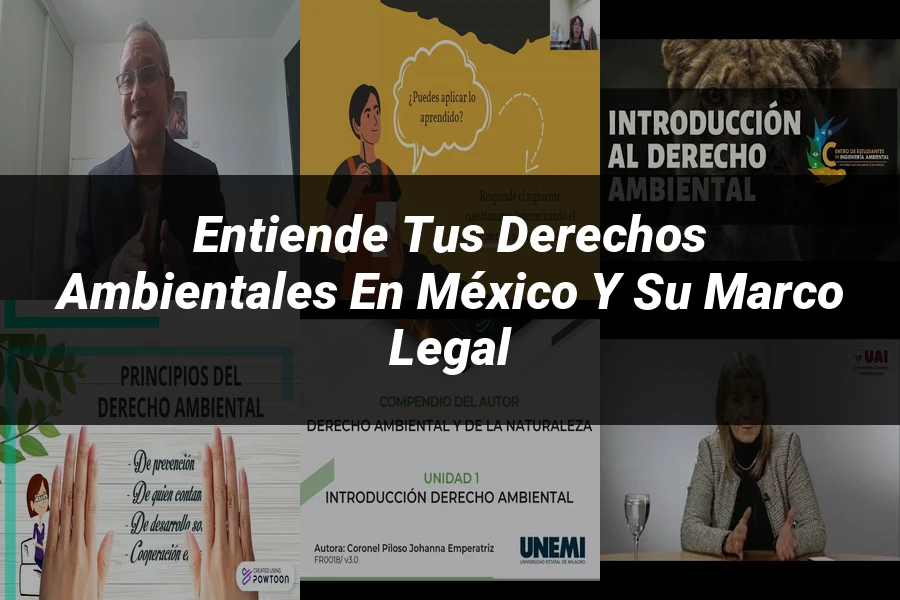 "Entiende tus Derechos Ambientales en México y su Marco Legal"