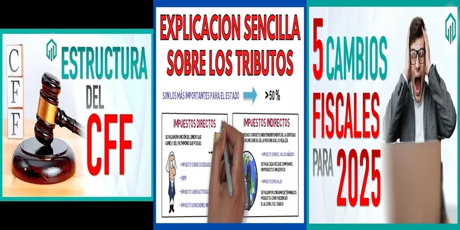"Entiende tus Derechos Fiscales en México: Lo que Debes Saber"