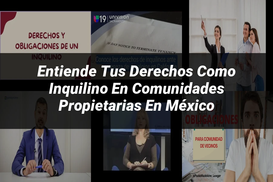 "Entiende tus Derechos como Inquilino en Comunidades Propietarias en México"