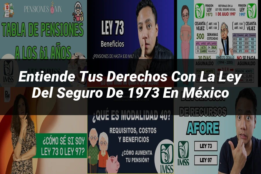 "Entiende tus Derechos con la Ley del Seguro de 1973 en México"