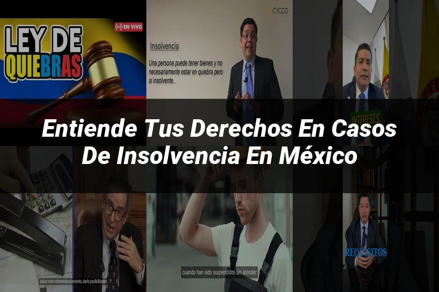 "Entiende tus Derechos en Casos de Insolvencia en México"