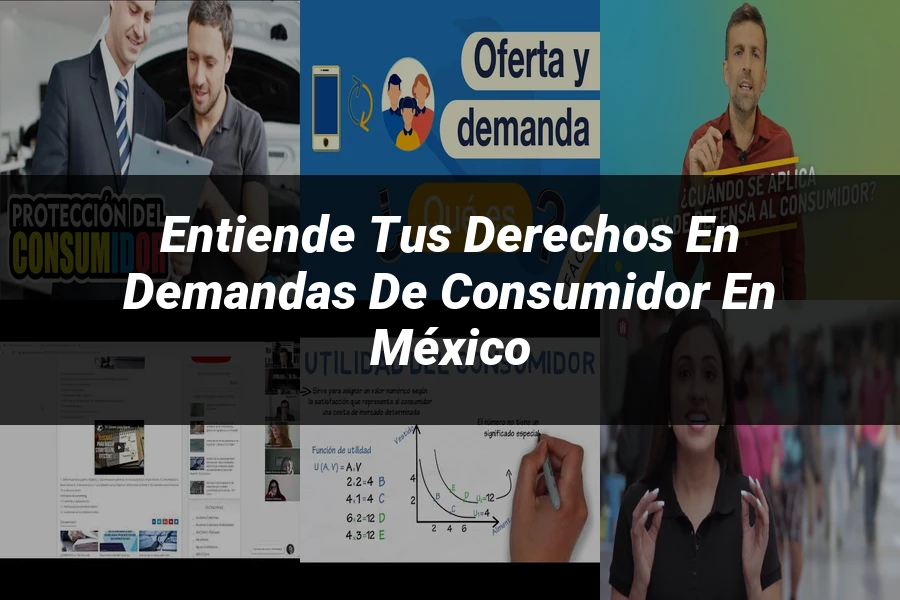 "Entiende tus Derechos en Demandas de Consumidor en México"