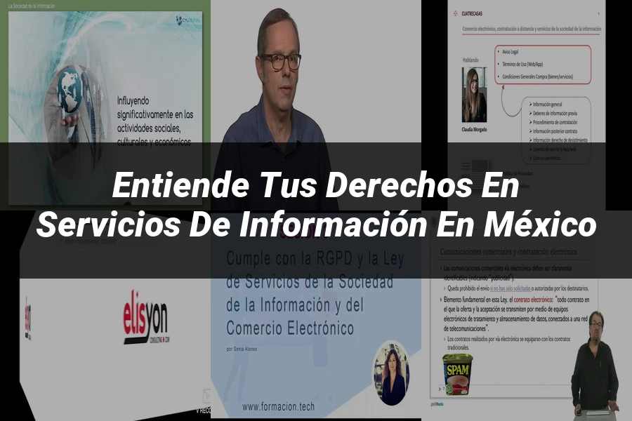 "Entiende tus Derechos en Servicios de Información en México"