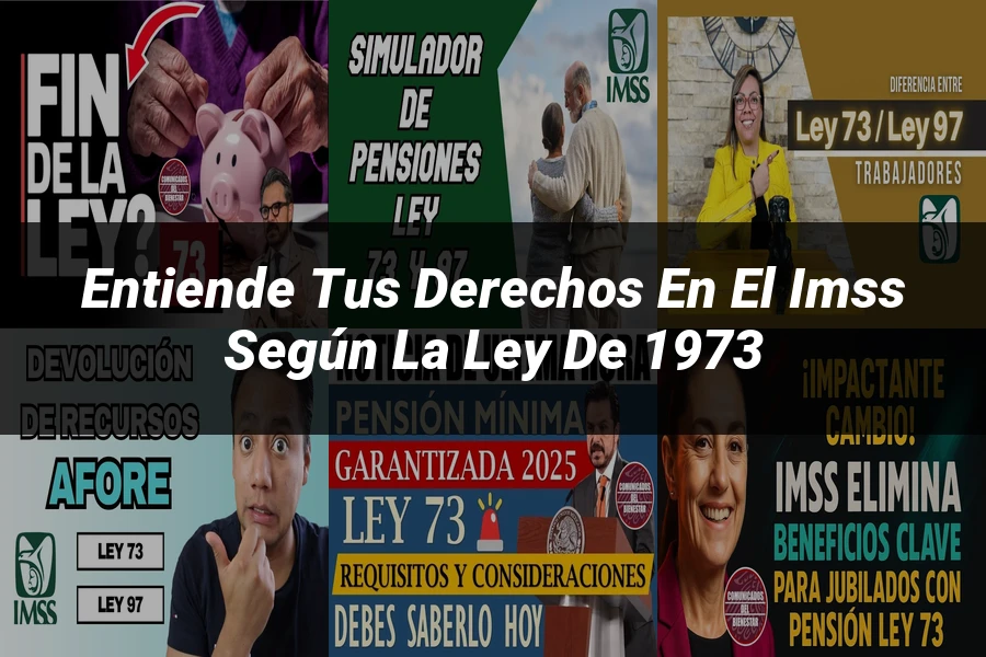 "Entiende tus Derechos en el IMSS según la Ley de 1973"