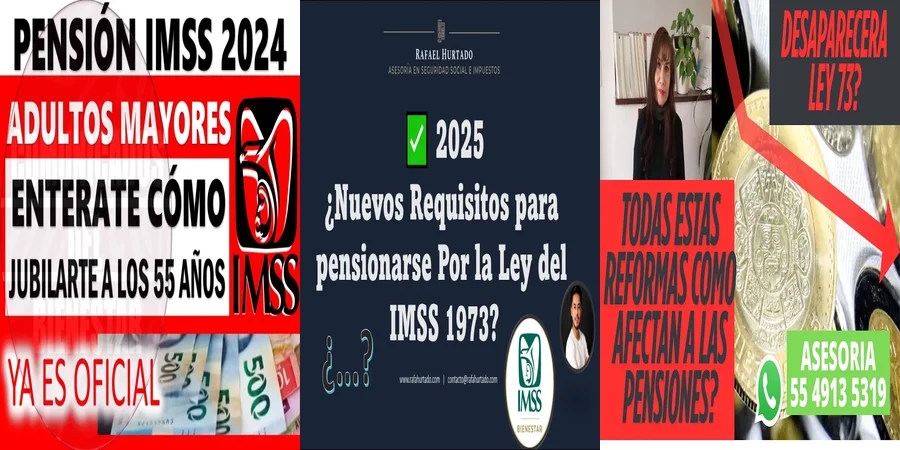 "Entiende tus Derechos en el IMSS: Jubilaciones y Pensiones 2018"