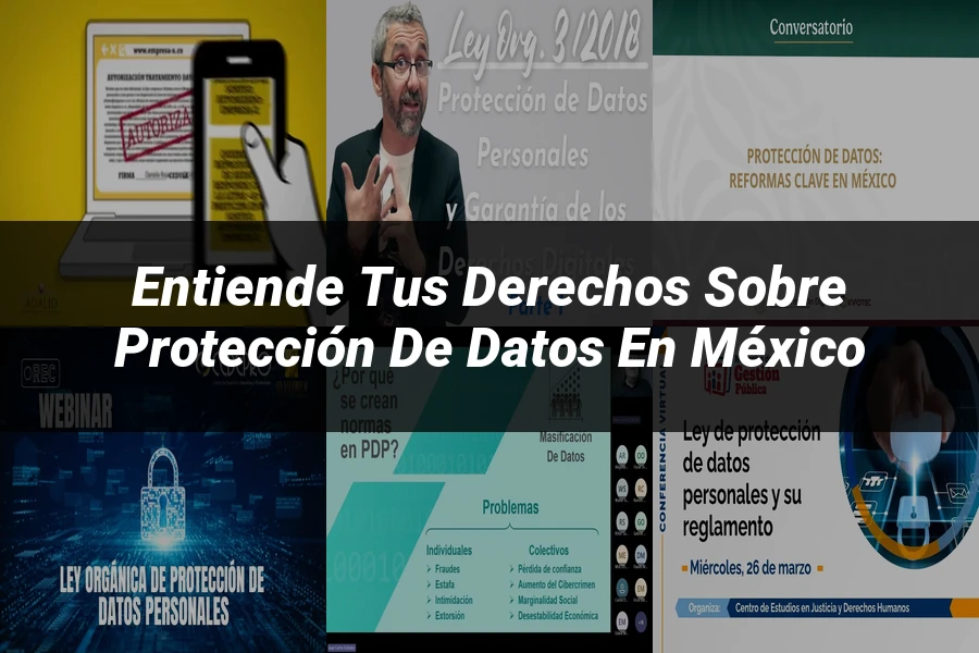 "Entiende tus Derechos sobre Protección de Datos en México"