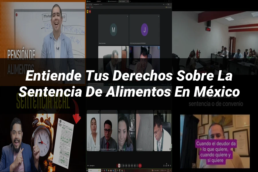 "Entiende tus Derechos sobre la Sentencia de Alimentos en México"