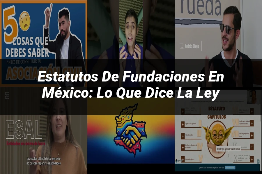 "Estatutos de Fundaciones en México: Lo Que Dice la Ley"