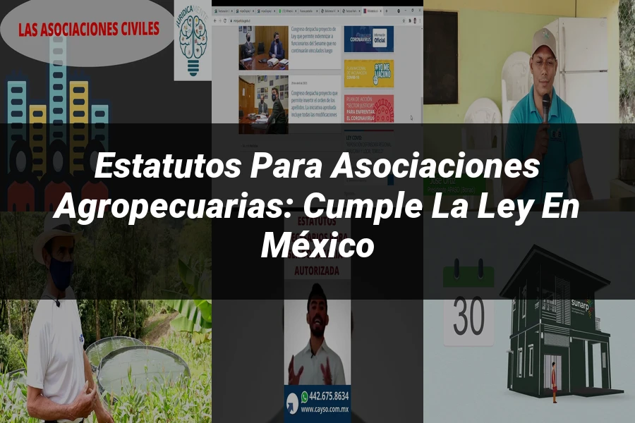 "Estatutos para Asociaciones Agropecuarias: Cumple la Ley en México"
