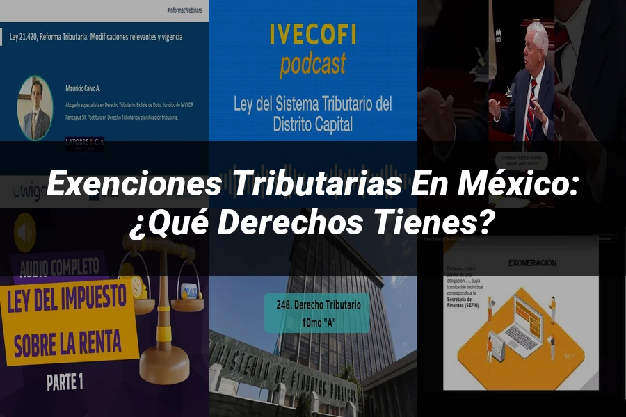 "Exenciones Tributarias en México: ¿Qué Derechos Tienes?"