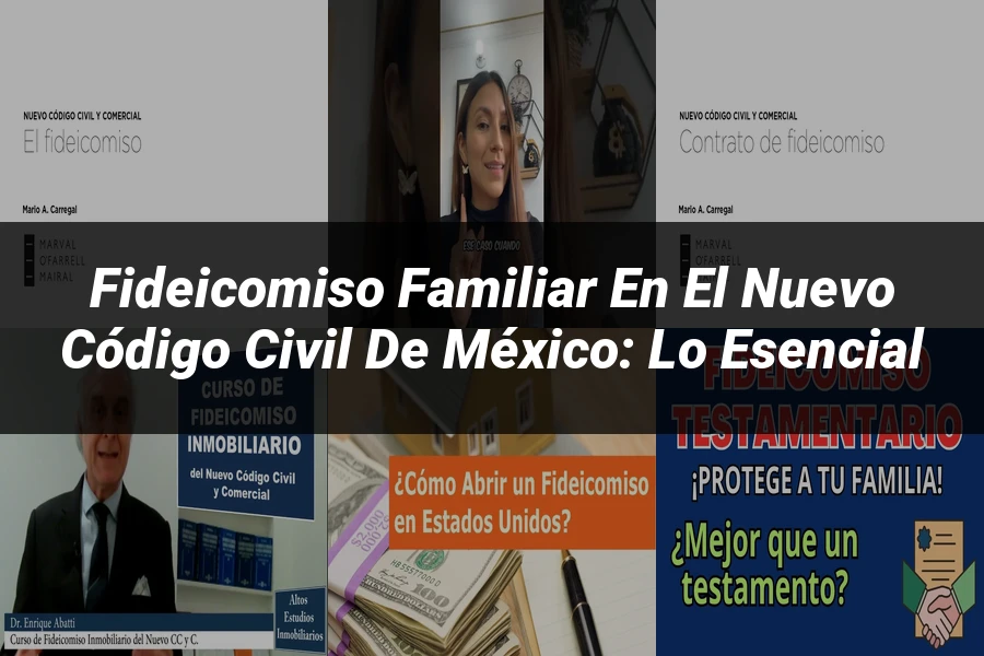 "Fideicomiso Familiar en el Nuevo Código Civil de México: Lo Esencial"