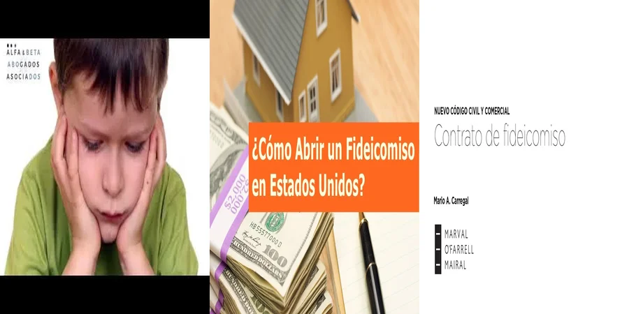 "Fideicomiso Familiar en el Nuevo Código Civil de México: Lo Esencial"