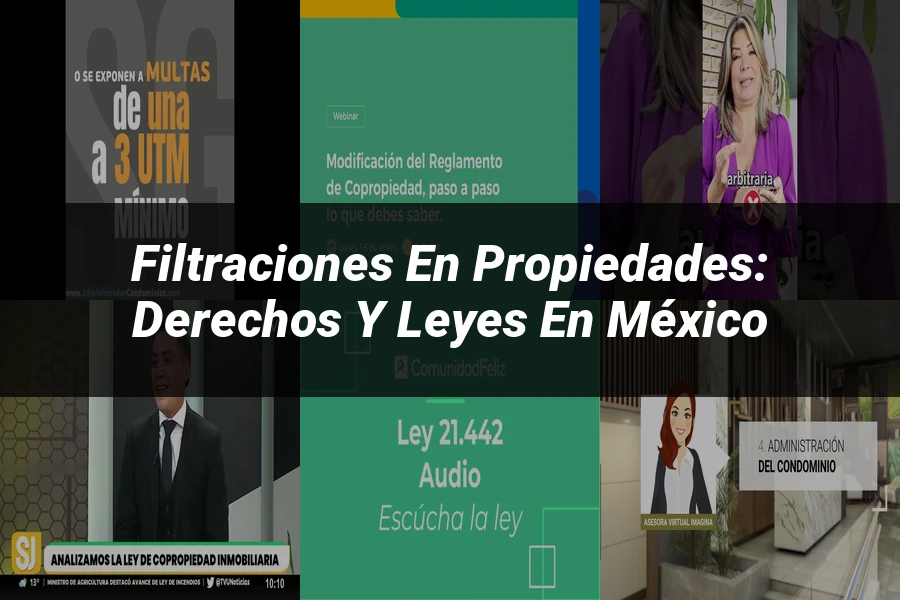 "Filtraciones en Propiedades: Derechos y Leyes en México"