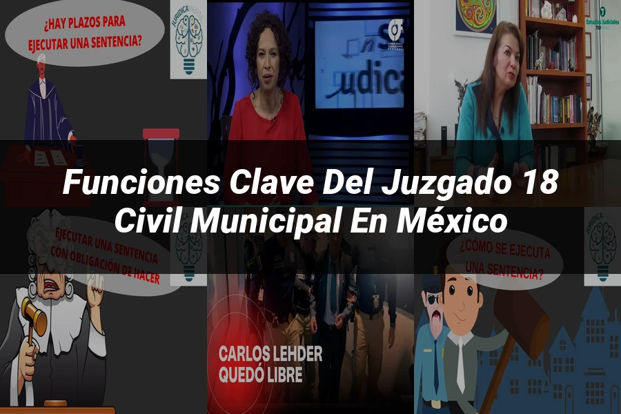 "Funciones Clave del Juzgado 18 Civil Municipal en México"