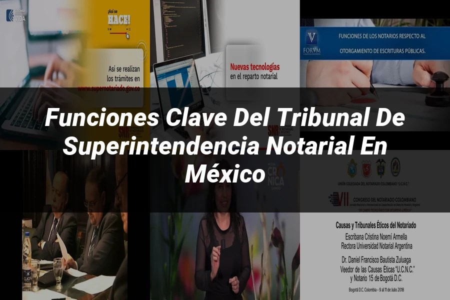 "Funciones Clave del Tribunal de Superintendencia Notarial en México"