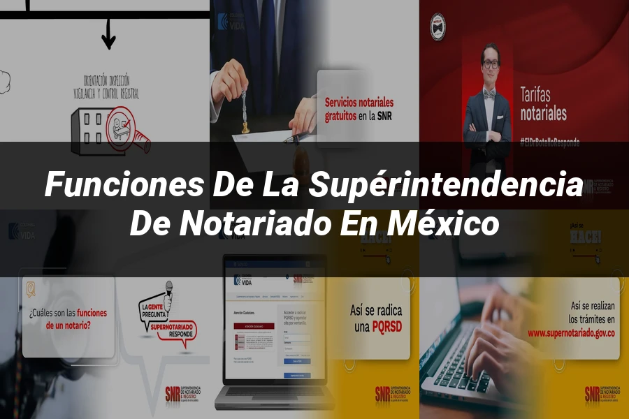"Funciones de la supérintendencia de notariado en México"