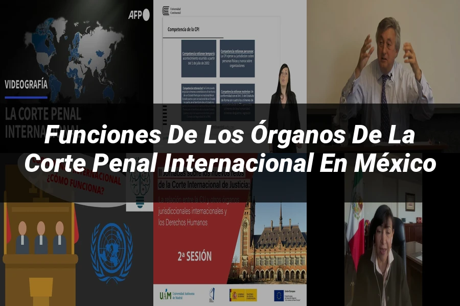 "Funciones de los Órganos de la Corte Penal Internacional en México"