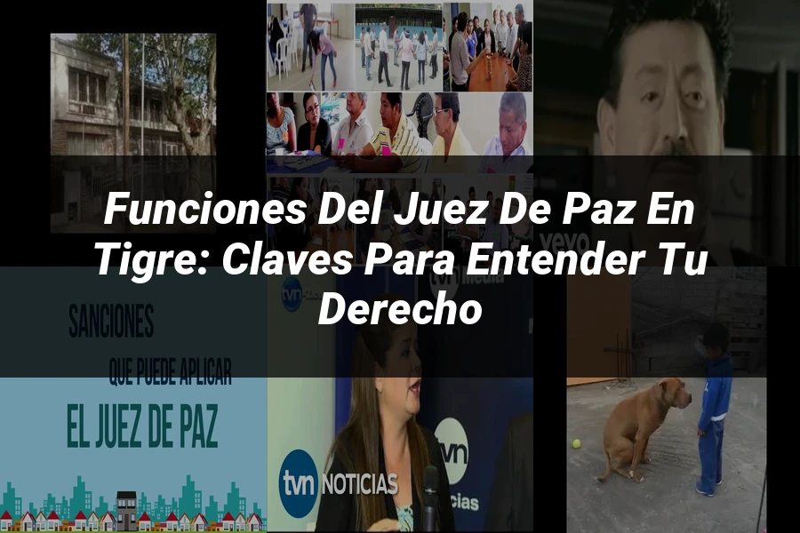 "Funciones del Juez de Paz en Tigre: Claves para Entender tu Derecho"