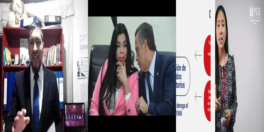 "Funciones del Procurador Público en el Sistema Legal Mexicano"