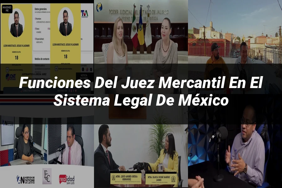 "Funciones del juez mercantil en el sistema legal de México"