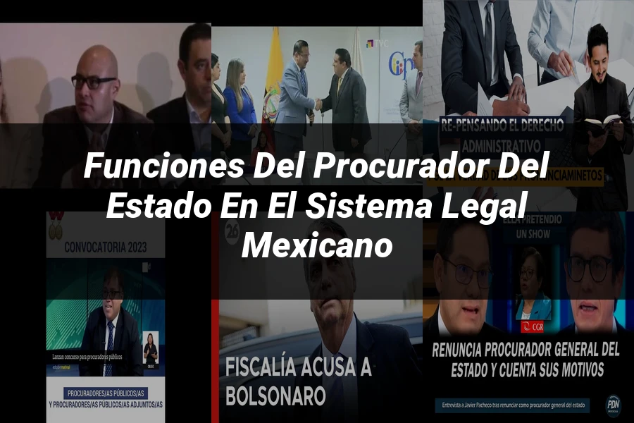 "Funciones del procurador del estado en el sistema legal mexicano"