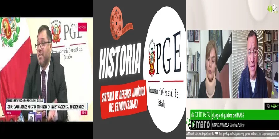"Funciones del procurador del estado en el sistema legal mexicano"