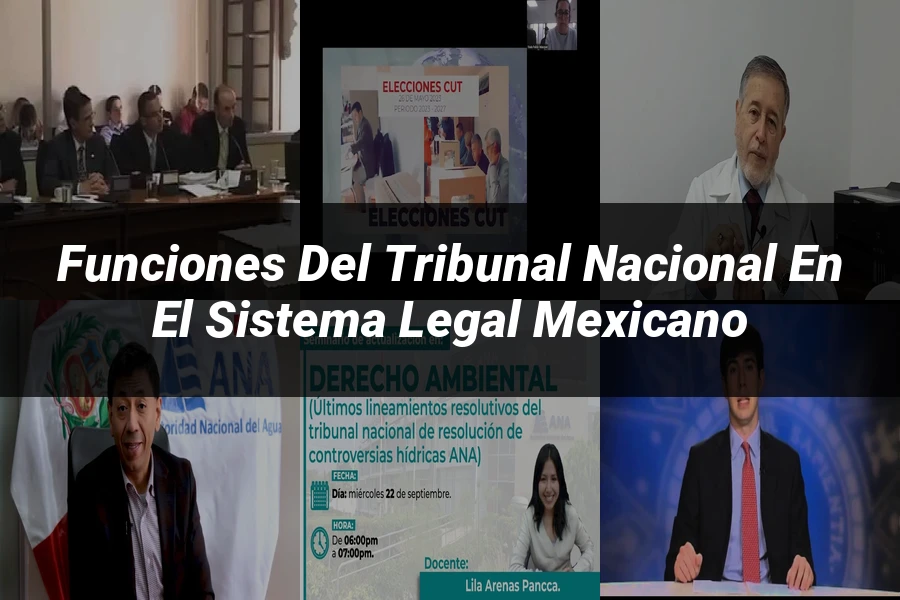 "Funciones del tribunal nacional en el sistema legal mexicano"