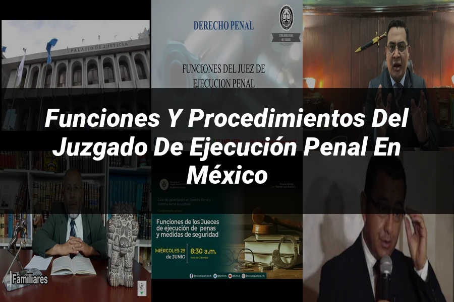 "Funciones y Procedimientos del Juzgado de Ejecución Penal en México"
