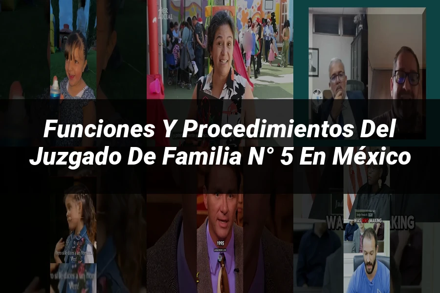 "Funciones y Procedimientos del Juzgado de Familia N° 5 en México"
