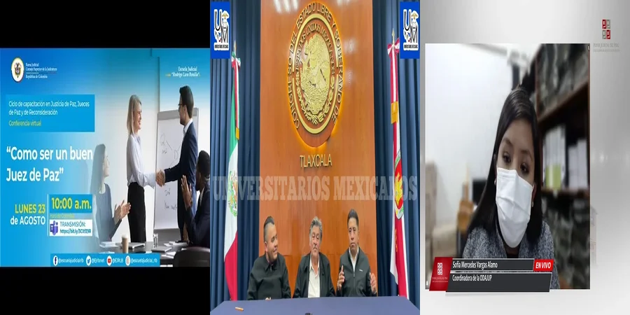 "Funciones y Retos de Ser Juez de Paz en el Sistema Legal Mexicano"