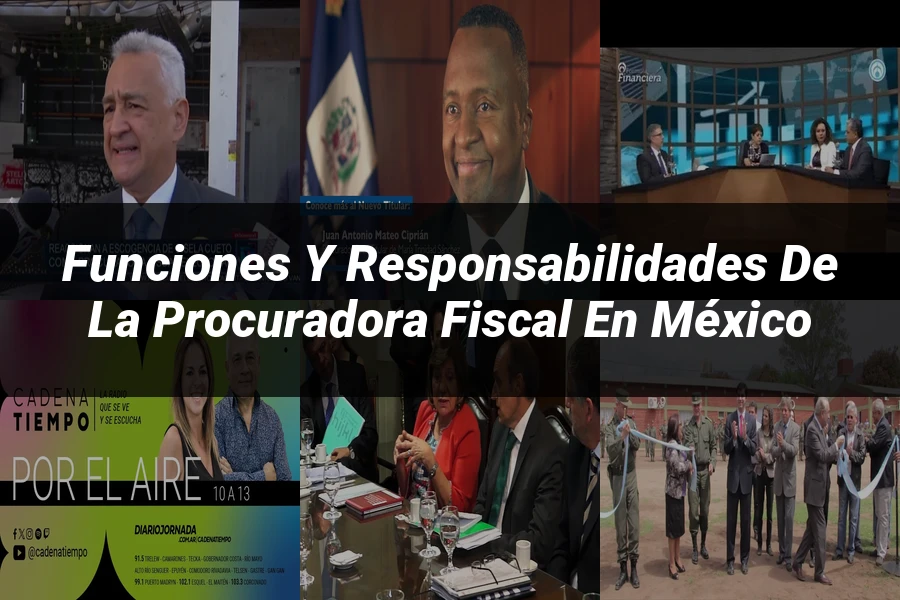"Funciones y responsabilidades de la procuradora fiscal en México"