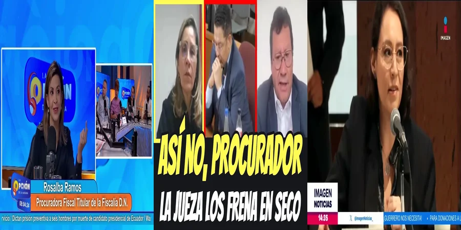 "Funciones y responsabilidades de la procuradora fiscal en México"