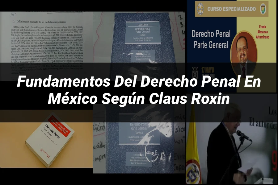 "Fundamentos del Derecho Penal en México según Claus Roxin"