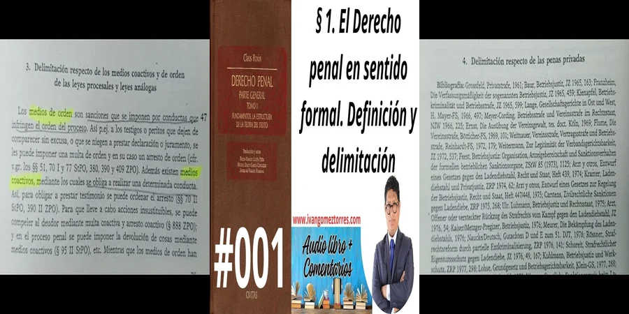 "Fundamentos del Derecho Penal en México según Claus Roxin"