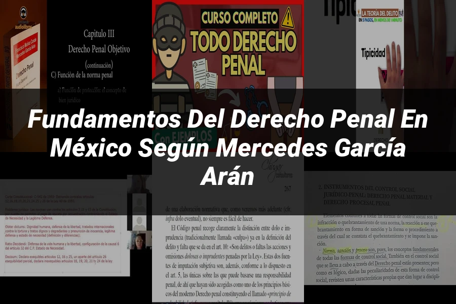 "Fundamentos del Derecho Penal en México según Mercedes García Arán"