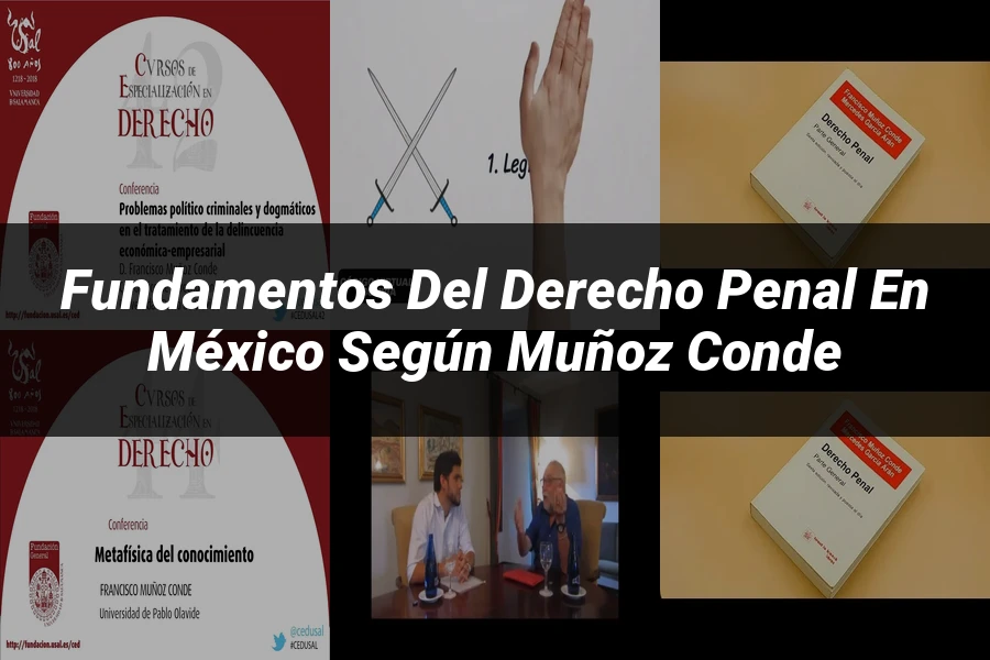 "Fundamentos del Derecho Penal en México según Muñoz Conde"