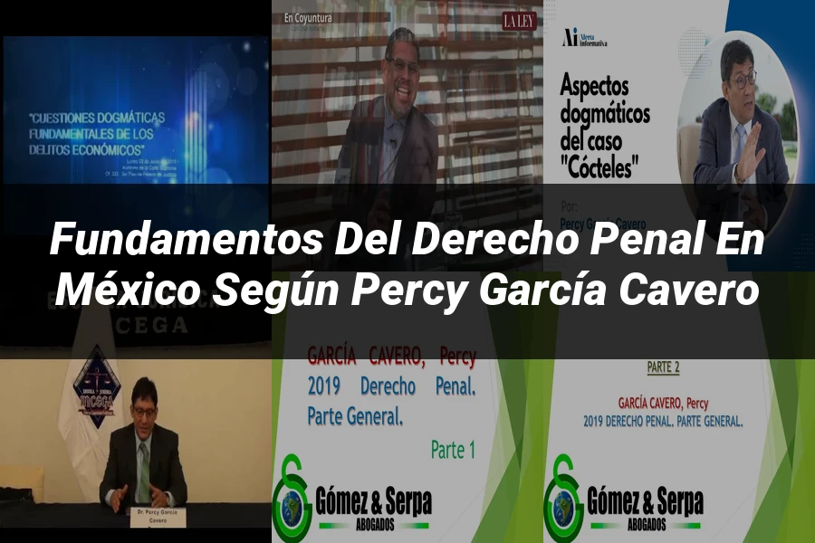 "Fundamentos del Derecho Penal en México según Percy García Cavero"