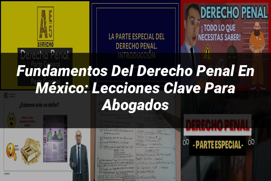 "Fundamentos del Derecho Penal en México: Lecciones Clave para Abogados"