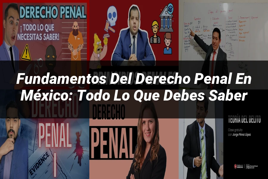 "Fundamentos del Derecho Penal en México: Todo lo que Debes Saber"