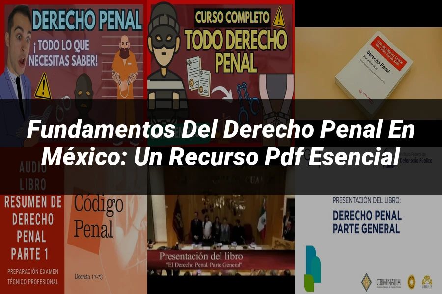 "Fundamentos del Derecho Penal en México: Un recurso PDF esencial"