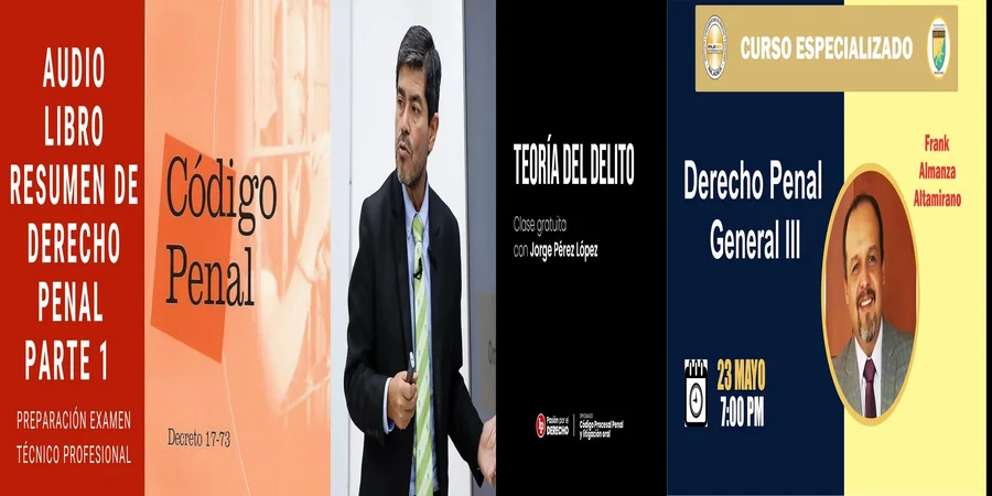 "Fundamentos del Derecho Penal en México: Un recurso PDF esencial"
