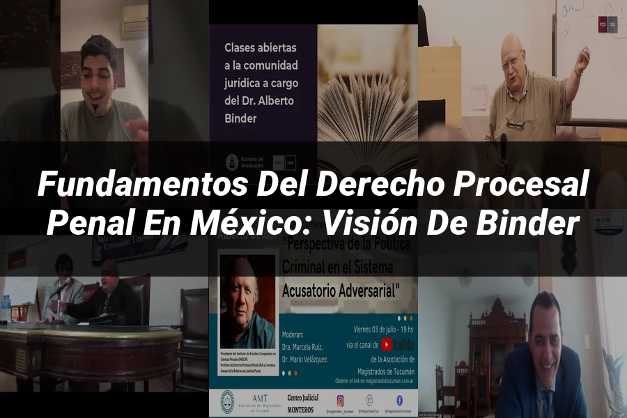"Fundamentos del Derecho Procesal Penal en México: Visión de Binder"