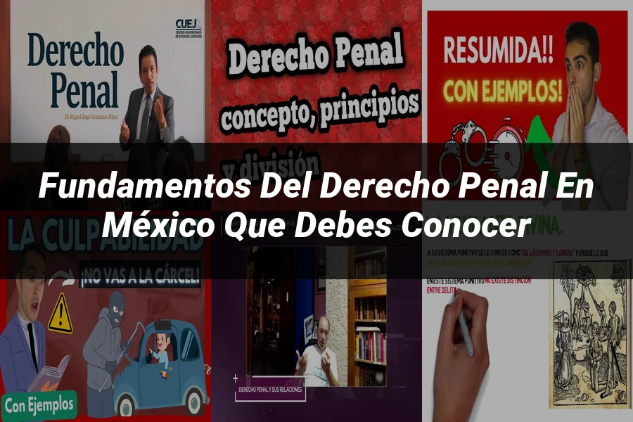 "Fundamentos del derecho penal en México que debes conocer"