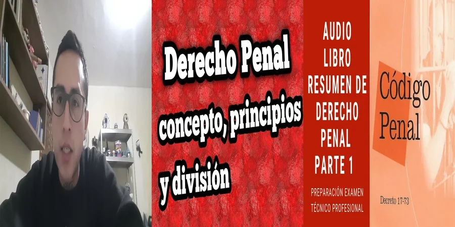 "Fundamentos del derecho penal en México que debes conocer"